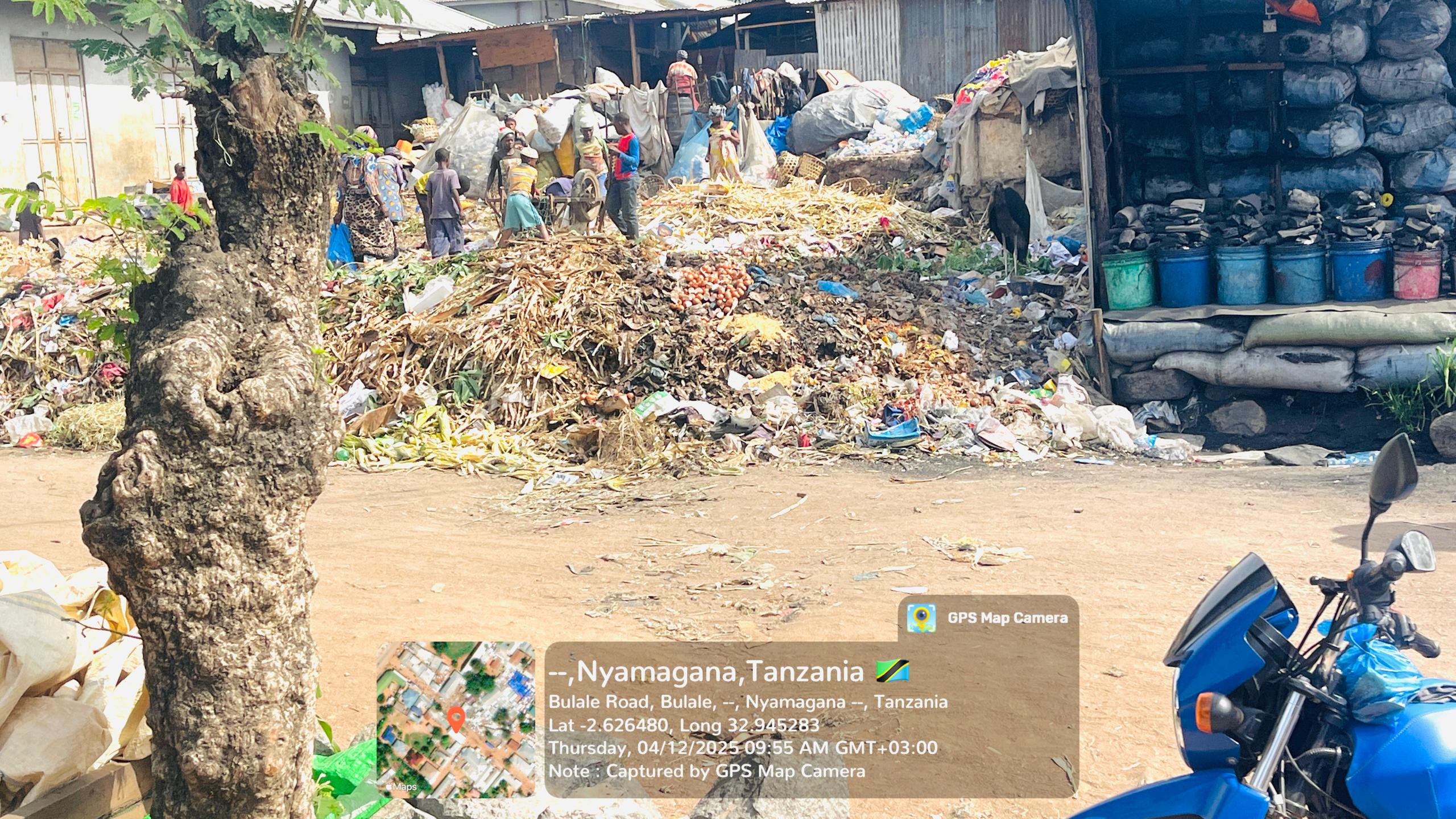 Community tree planting Mwanza