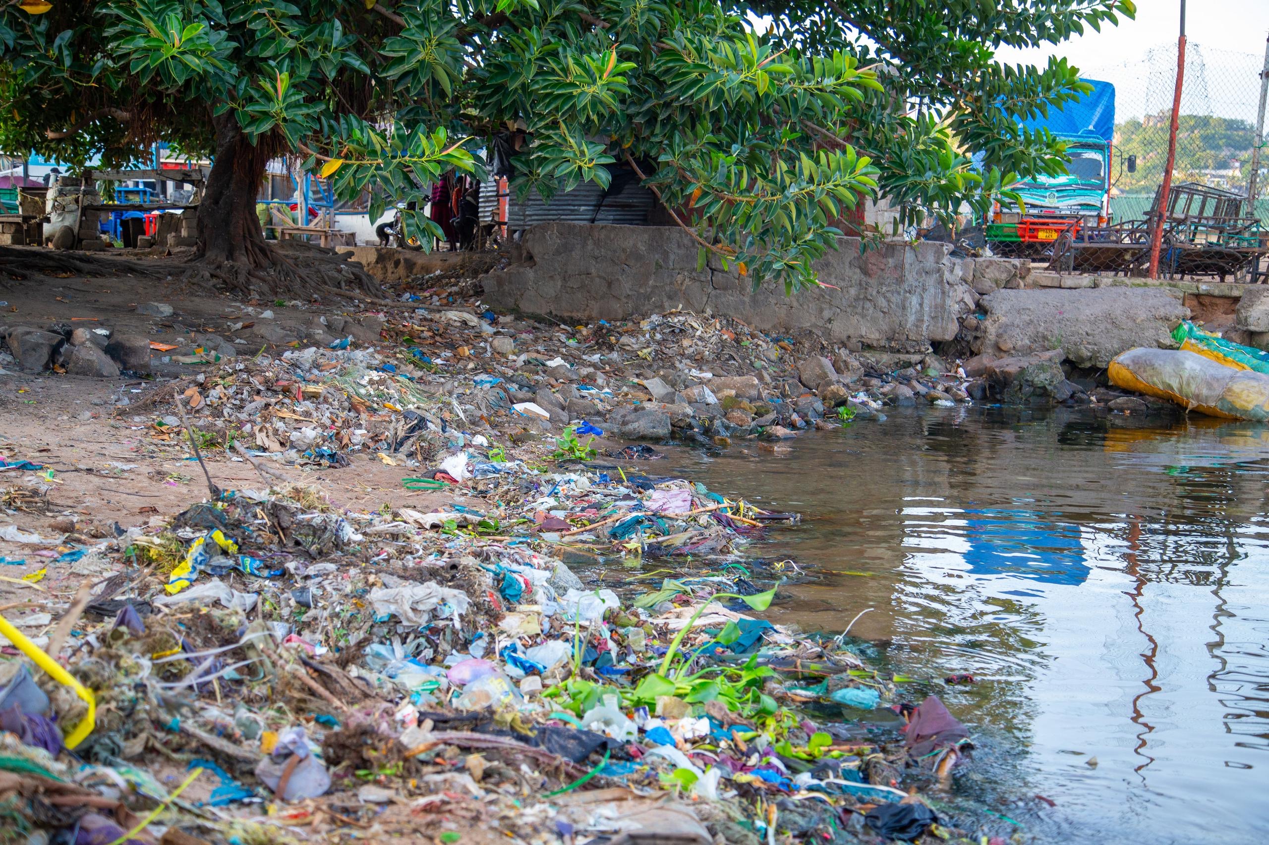 Climate resilience workshop