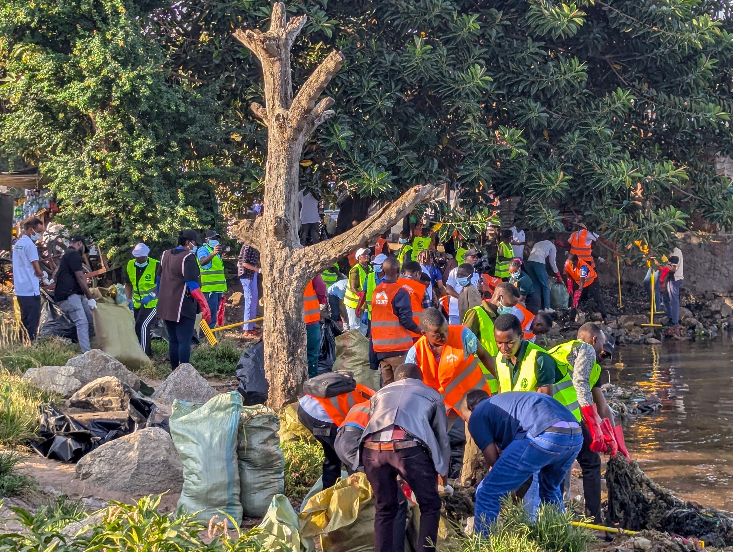 Green schools initiative